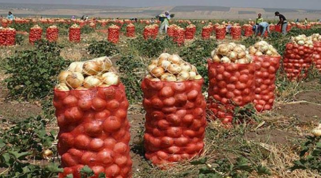 Soğanın qiymətində baş verən dəyişiklik nə ilə əlaqədardır?