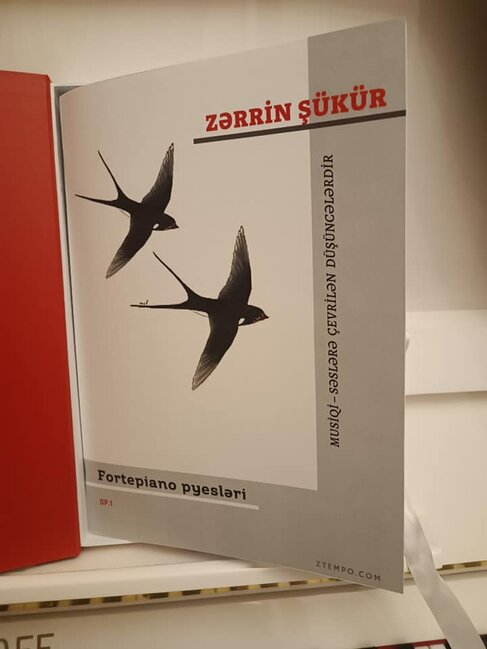 Kiçik qəlbin böyük dünyası - FOTO