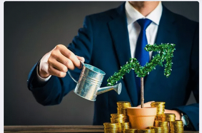 Kiçik məbləği hara investisiya etmək olar? - Qızıl, kriptovalyuya ya bank səhmi...