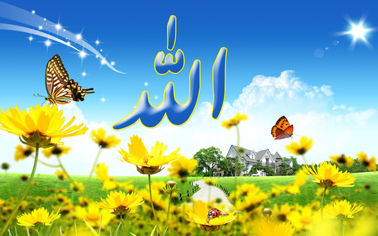 Allahın "əl-Mumin" və "əl-Muheymin" adlarının mənası