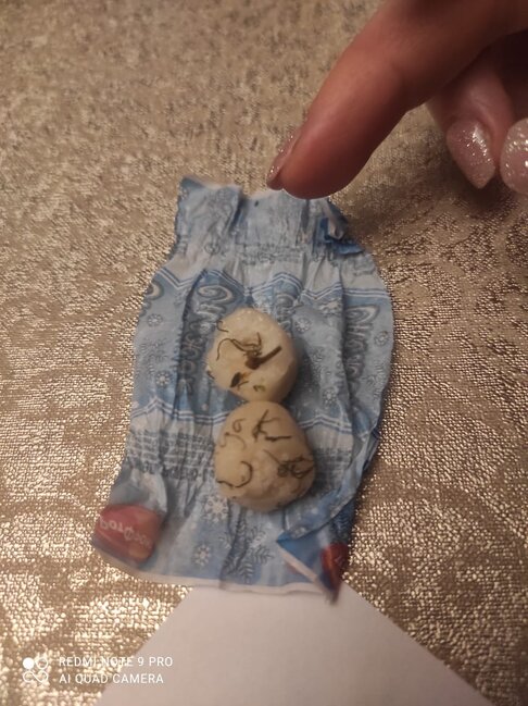 Məktəbdə konfet adı ilə şagirdlərə narkotik paylanılır? - FOTO