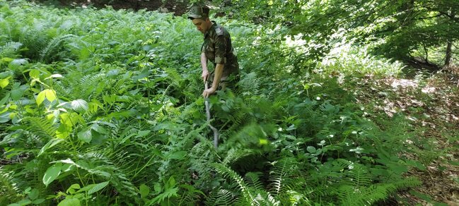 Hindistanlı turistin axtarışları davam etdirilir - Video