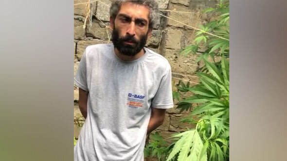 Bakıda narkotik bitkilər əkib-becərən şəxs tutuldu - FOTO