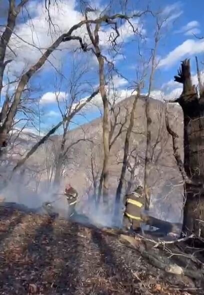 İsmayıllıda meşə yanır - FOTO