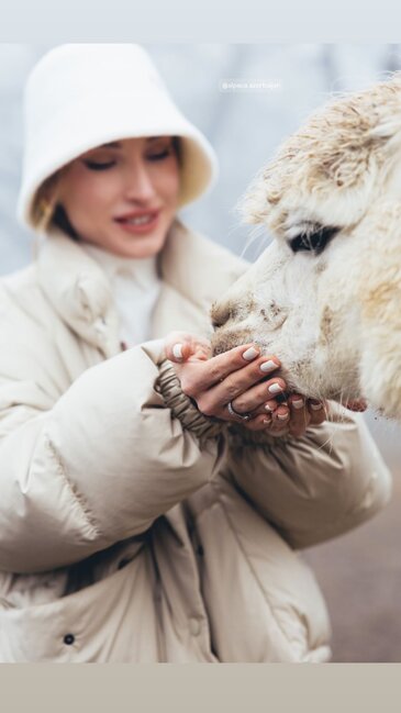 Prezidentin gəlininin alpaka fermasından maraqlı - Fotoları