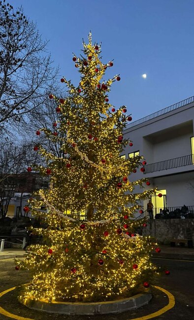 Safura həyat yoldaşı ilə Qubada tətildə - FOTO-VİDEO