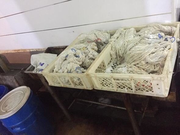 Bakıda sexdə iyrənc mənzərə - FOTO