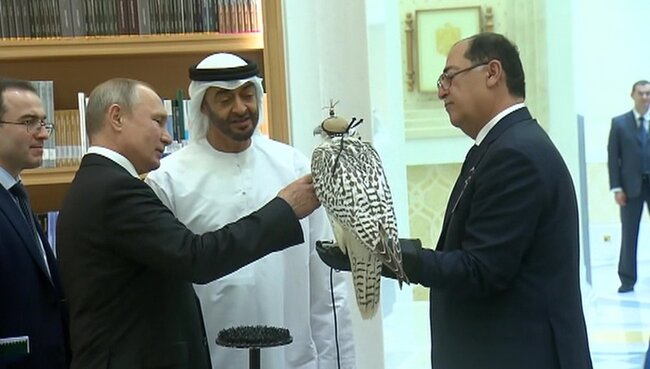 Nazirlik Putinin hədiyyə etdiyi quşun yumurtadan çıxma anını paylaşdı - VİDEO