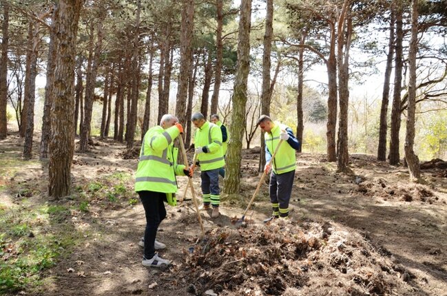 Paytaxtda ümumşəhər daxili iməcliyi keçirilib