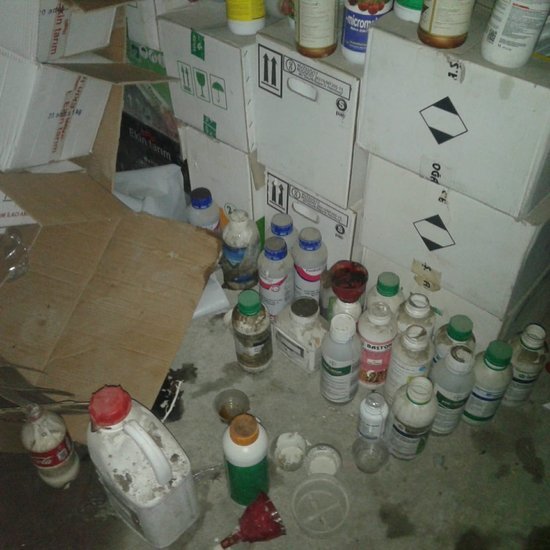 Azərbaycanda bu da oldu ! Saxta tərəvəz toxumları hazırlayanlar İFŞA EDİLDİ/FOTO