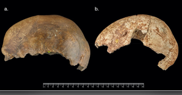 15 min il əvvəl Avropada adam yemək mədəniyyət sayılırdı- Alimlərdən ŞOK ARAŞDIRMA -FOTOLAR
