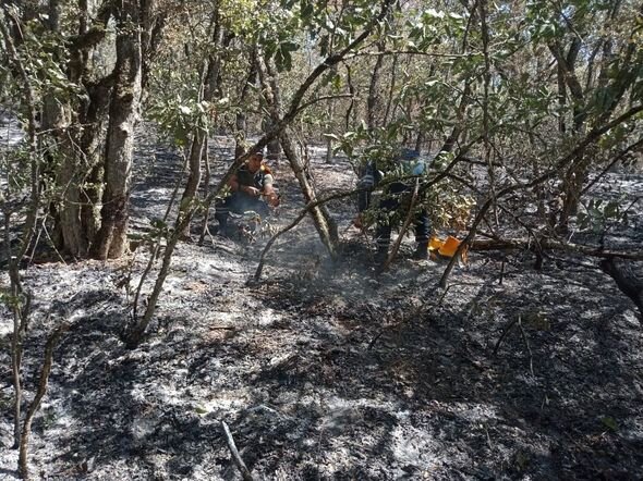 Ağdamda 20 hektarlıq meşə ərazisi yanıb - FOTO-VİDEO