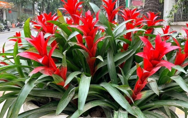 Sabah hava necə olacaq?