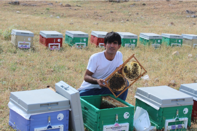 15 ildir arılarla dostluq edən "Arı Adam"