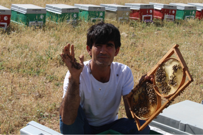 15 ildir arılarla dostluq edən "Arı Adam"