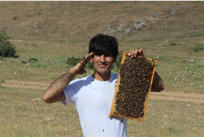 15 ildir arılarla dostluq edən "Arı Adam"