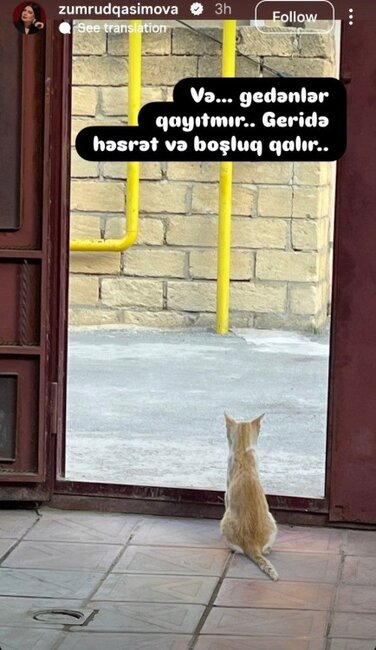 "Gedənlər qayıtmır"