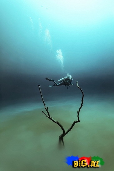 Su altındakı dünya - FOTO