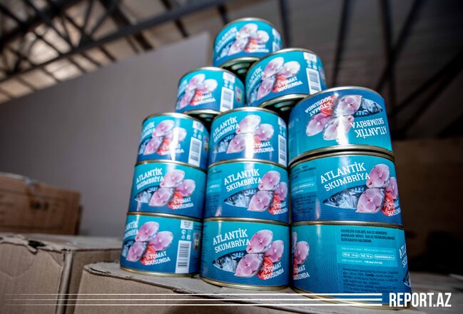 "Salam, əsgər!" - FOTOREPORTAJ