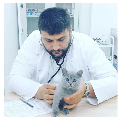 Bu mövsümdə ev heyvanlarında parazitlər və xəstəliklərin riski artır