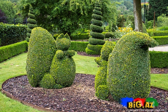 Belçikada gözəl bir park - FOTO
