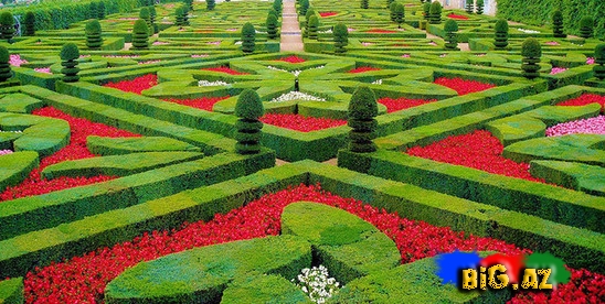 Belçikada gözəl bir park - FOTO