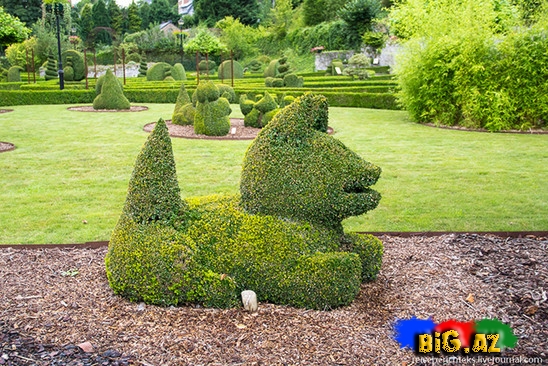 Belçikada gözəl bir park - FOTO