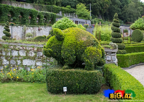 Belçikada gözəl bir park - FOTO