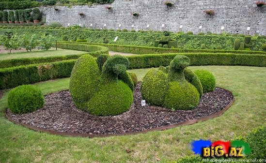 Belçikada gözəl bir park - FOTO
