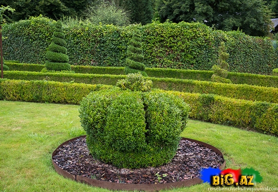 Belçikada gözəl bir park - FOTO