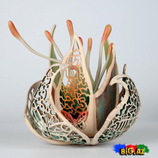 Ağac üzərində qədim naxışlar - FOTO