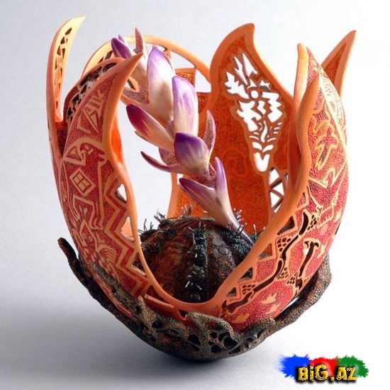 Ağac üzərində qədim naxışlar - FOTO