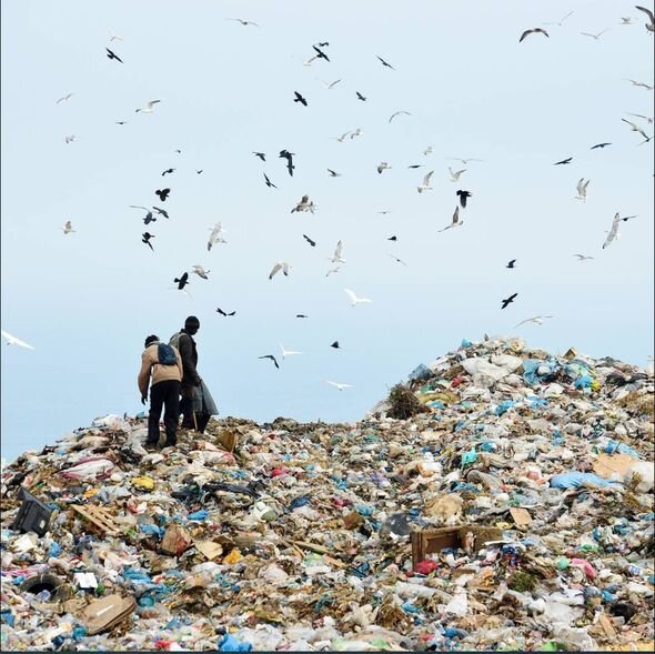 İspaniyada 10 minlərlə köçəri quş isti ölkələr əvəzinə zibilliklərə "köç etdi" - FOTO
