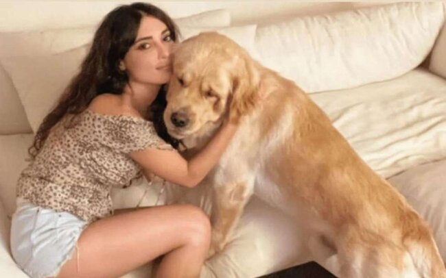 Küçəyə atılan itə sahib çıxdı - FOTO