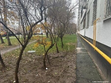 Moskvada ana körpəsini 11-ci mərtəbədən küçəyə atıb - FOTO