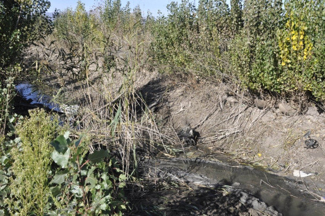 Ailələri 3 gəncdən günlərlə xəbər ala bilmədi, ikisinin cəsədini görün haradan tapdılar - FOTOLAR