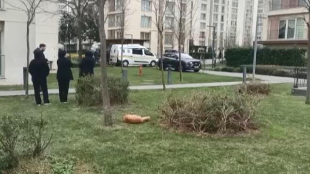 DƏHŞƏT: Ata 3 uşağını asaraq intihar etdi - FOTO