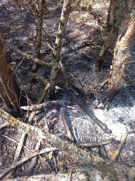 Ağdamda 20 hektarlıq meşə ərazisi yanıb - FOTO-VİDEO