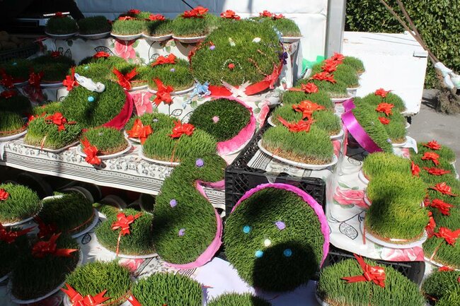 Bol çeşid, fərqli qiymət... - Novruz yarmarkası/ FOTOREPORTAJ