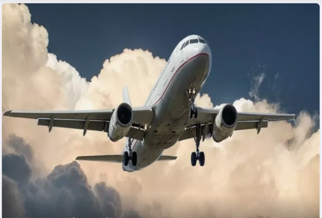 Pilot uçuşdan sonra saxlanıldi: indi ölüm cəzasıilə üzləşib: çantasında nə tapılıb?