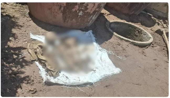 Xəyanətdə şübhəli bilinirdi: Qadın itkin düşən ərinin skeletini görün haradan tapdı