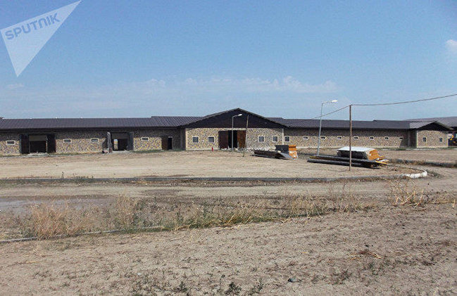 Qarabağ atları ilə bağlı sevindirici xəbər - FOTO