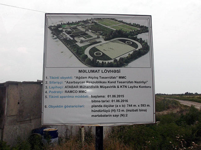 Qarabağ atları ilə bağlı sevindirici xəbər - FOTO