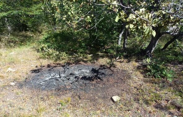 Şabranda meşə yanğınının səbəbi müəyyən edilib - FOTO/VİDEO