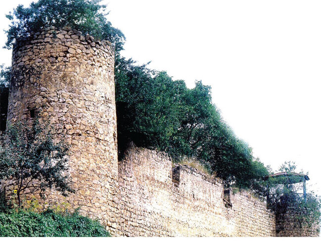 "Xankəndidə ikinci Zəfər muzeyi ilə yanaşı, orada böyük bir kitabxana, arxiv idarəsi yaradılsın" - ŞƏRH