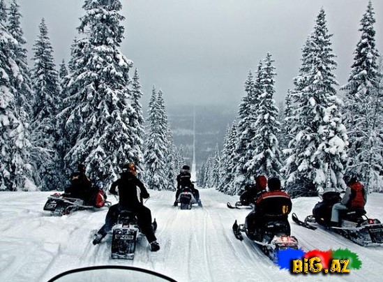 Hələ belə sərhəd görməmişdiniz