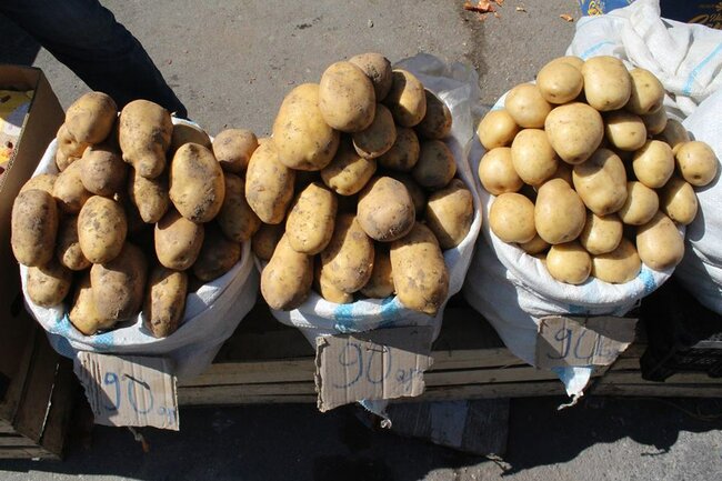 Bol çeşid, fərqli qiymət... - Novruz yarmarkası/ FOTOREPORTAJ
