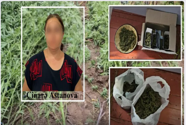 Saatlıda narkotik bitki yetişdirən qadın saxlanıldı