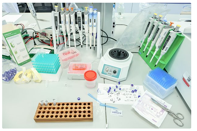 Afrikada təhlükəli yeni virus aşkarlandı – 50 nəfər həyatını itirdi