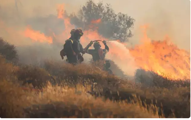 İzmirdə yanğın fəlakəti - FOTOLENT